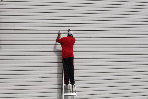 Best Siding Painting and Refinishing  in Lamar, MO