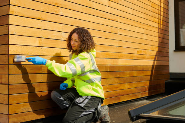 Best Custom Trim and Detailing for Siding  in Lamar, MO
